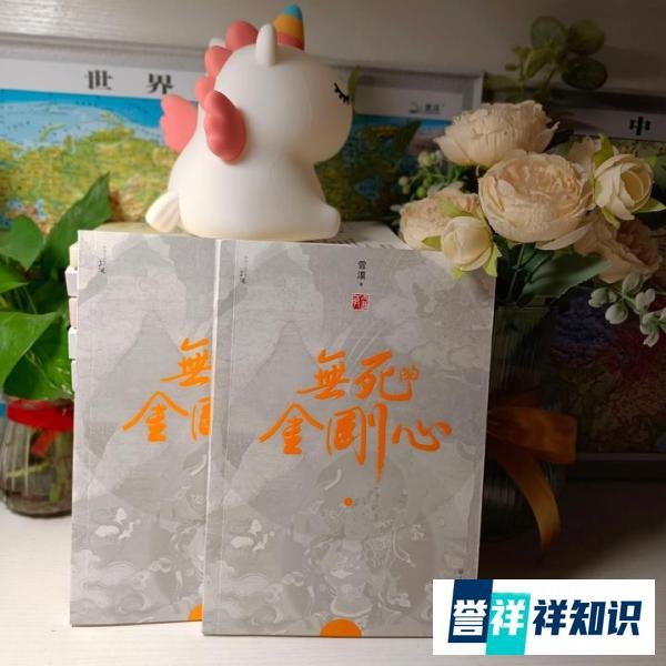《无死的金刚心》丨一场心灵的穿越之旅,寻找生命的真谛
