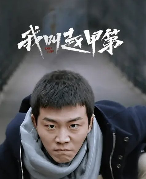 我叫赵甲第一共几季