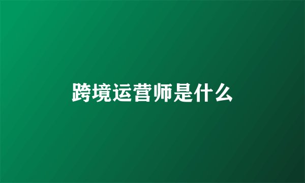 跨境运营师是什么