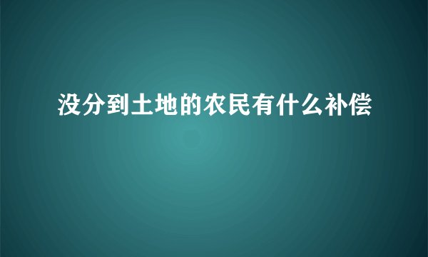 没分到土地的农民有什么补偿