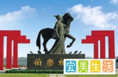 伯乐的意思是什么