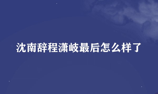 沈南辞程潇岐最后怎么样了