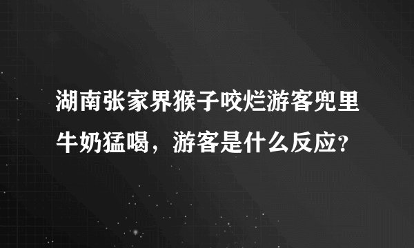 湖南张家界猴子咬烂游客兜里牛奶猛喝，游客是什么反应？