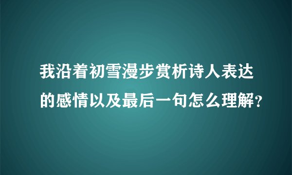 我沿着初雪漫步赏析诗人表达的感情以及最后一句怎么理解?
