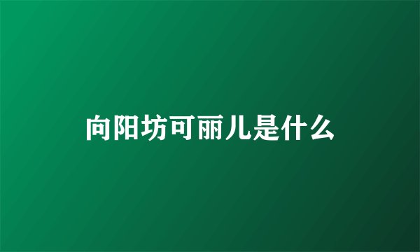 向阳坊可丽儿是什么