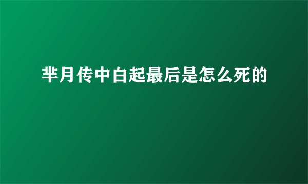 芈月传中白起最后是怎么死的