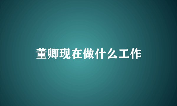 董卿现在做什么工作