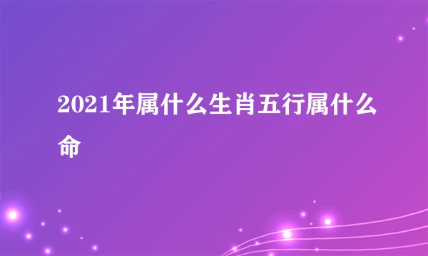 2021年属什么生肖五行属什么命