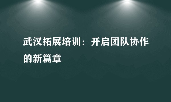 武汉拓展培训：开启团队协作的新篇章