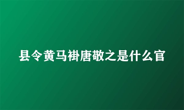 县令黄马褂唐敬之是什么官