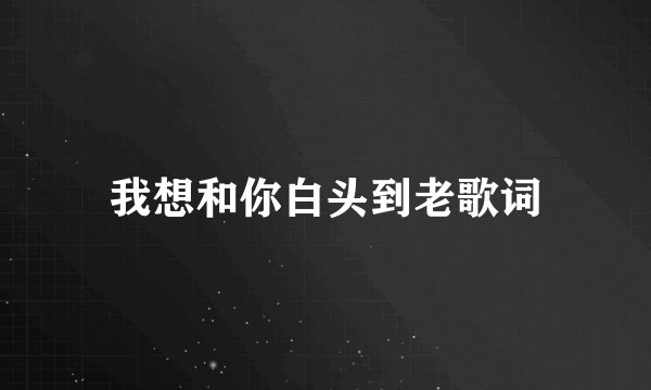 我想和你白头到老歌词