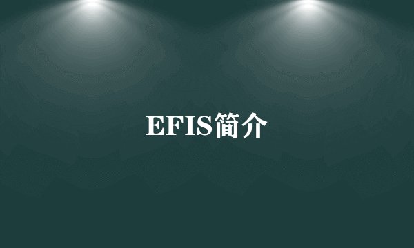 EFIS简介