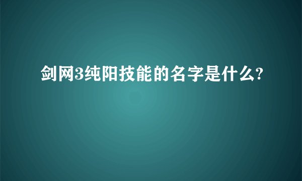 剑网3纯阳技能的名字是什么?
