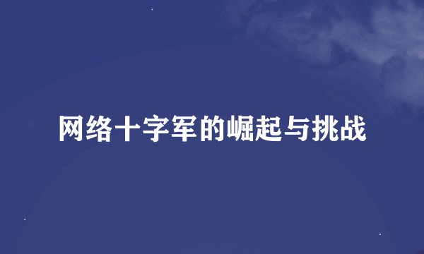网络十字军的崛起与挑战
