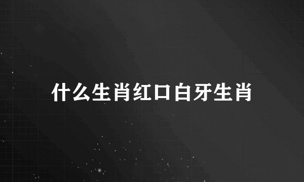 什么生肖红口白牙生肖