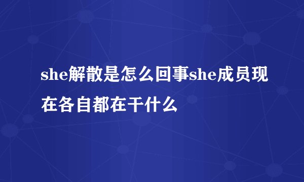 she解散是怎么回事she成员现在各自都在干什么