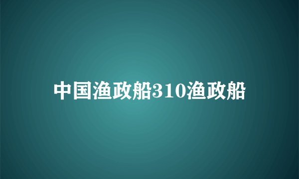 中国渔政船310渔政船