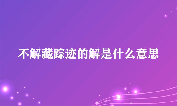 不解藏踪迹的解是什么意思