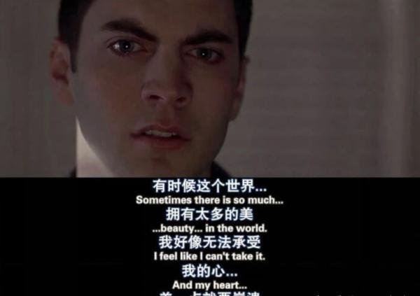 American Beauty--美国丽人? 美国蔷薇?