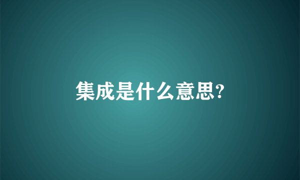 集成是什么意思?