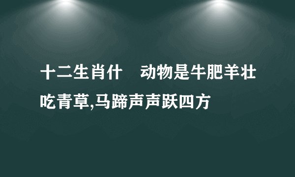十二生肖什麼动物是牛肥羊壮吃青草,马蹄声声跃四方