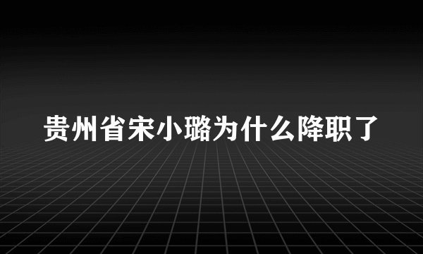 贵州省宋小璐为什么降职了