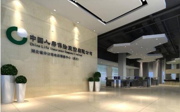 张乃丹实名举报中国人寿保险