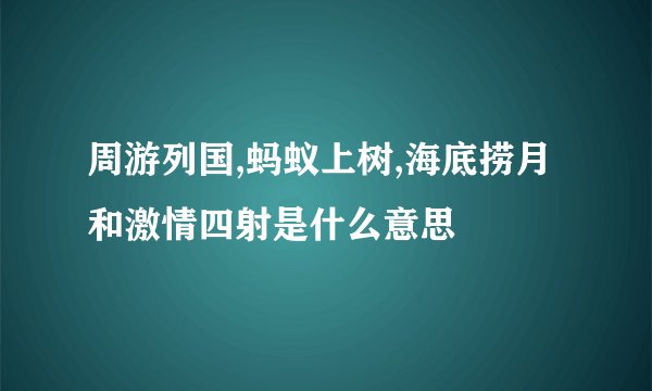周游列国,蚂蚁上树,海底捞月和激情四射是什么意思