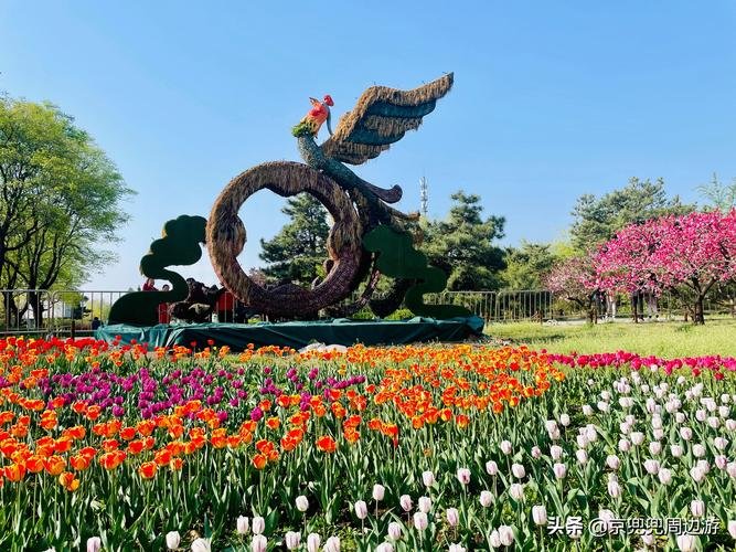去植物园怎么走，去植物园怎么走最方便