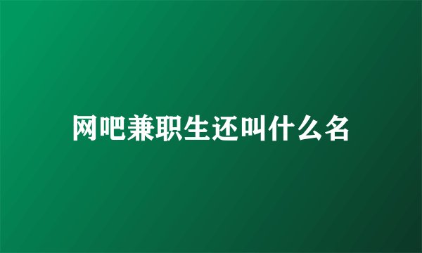 网吧兼职生还叫什么名