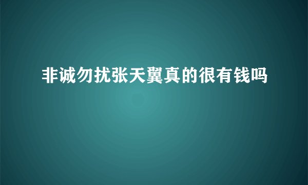 非诚勿扰张天翼真的很有钱吗