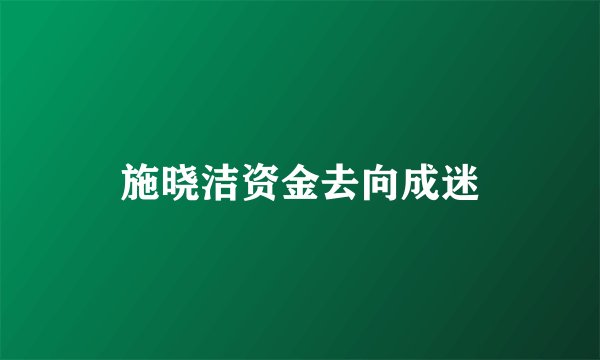 施晓洁资金去向成迷