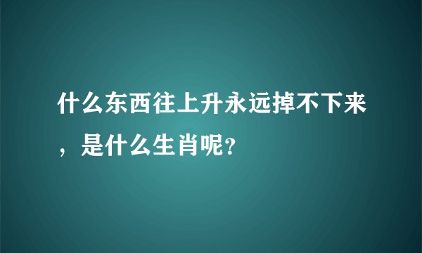 什么东西往上升永远掉不下来，是什么生肖呢？