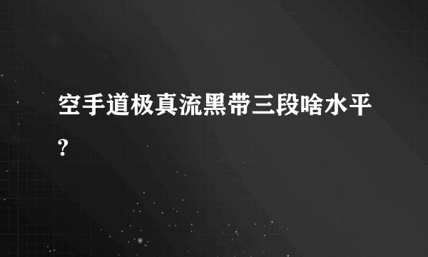 空手道极真流黑带三段啥水平?