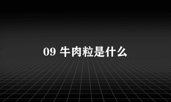 09 牛肉粒是什么