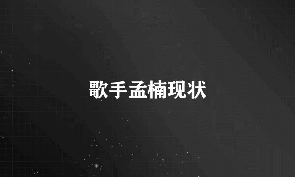 歌手孟楠现状