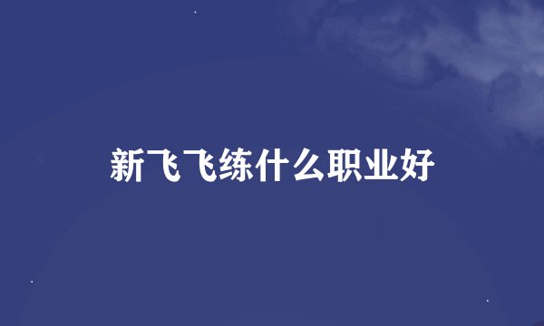 新飞飞练什么职业好