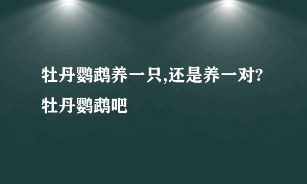 牡丹鹦鹉养一只,还是养一对?牡丹鹦鹉吧