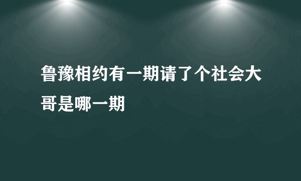 鲁豫相约有一期请了个社会大哥是哪一期