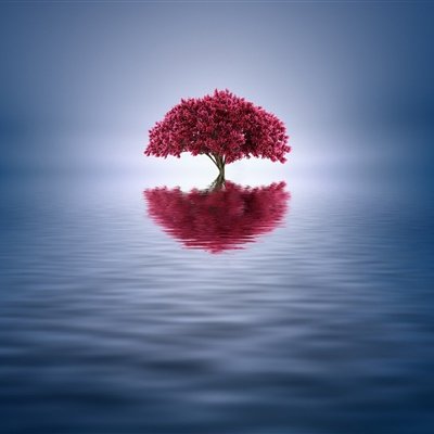 爱一个人特别累,又放不下,到底该如何抉择呢?