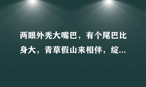 两眼外秃大嘴巴,有个尾巴比身大,青草假山来相伴,绽放朵朵大红花(打一动物)谜底及原因