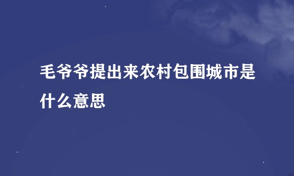 毛爷爷提出来农村包围城市是什么意思