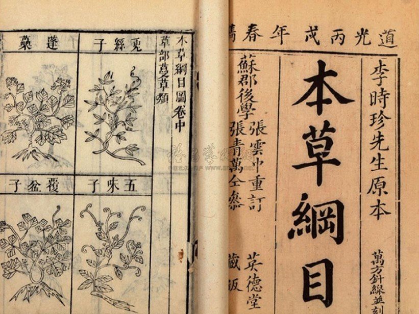 哪本书是中药百科全书