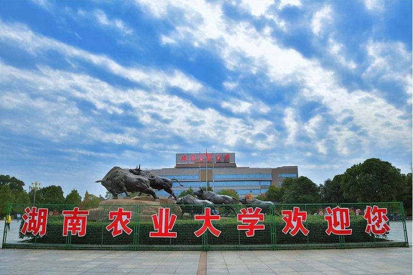 湖南农业大学2023录取分数线是多少分