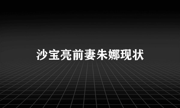 沙宝亮前妻朱娜现状