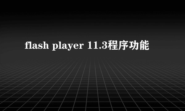flash player 11.3程序功能