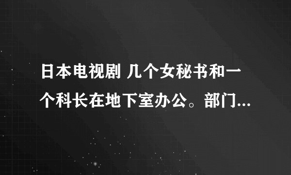 日本电视剧 几个女秘书和一个科长在地下室办公。部门很受歧视