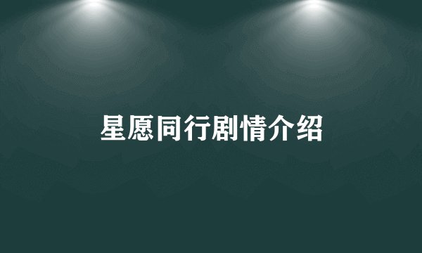 星愿同行剧情介绍