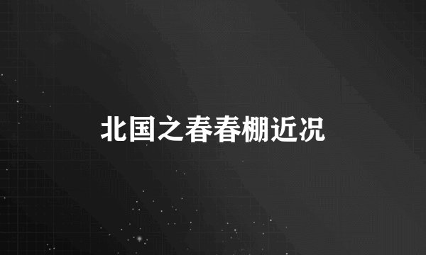 北国之春春棚近况