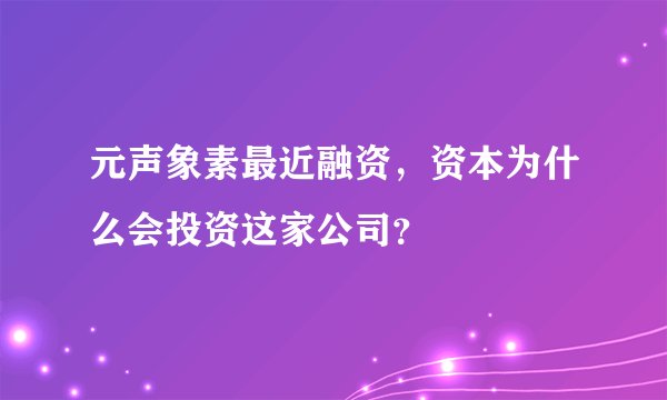 元声象素最近融资，资本为什么会投资这家公司？